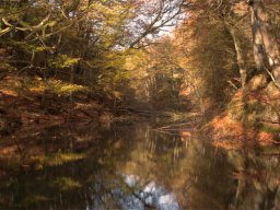 IMGP4036-Moelledammen